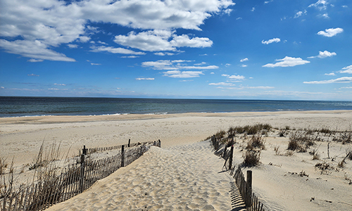 Cape Henlopen State Park