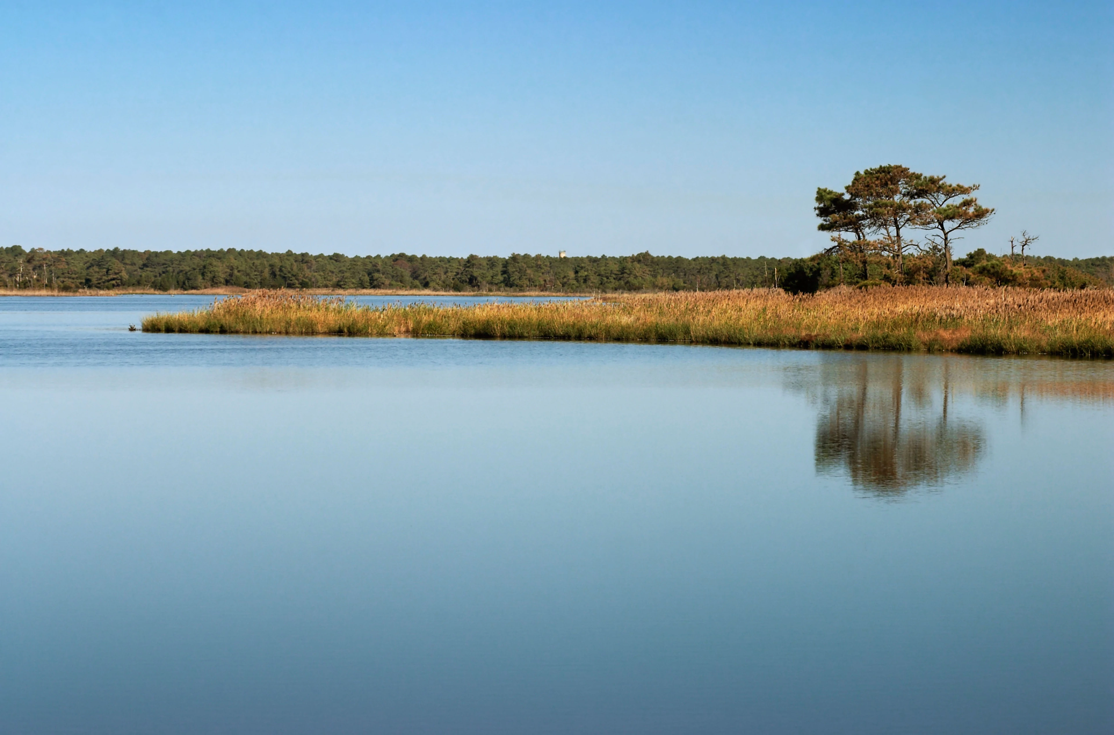 Gordons Pond